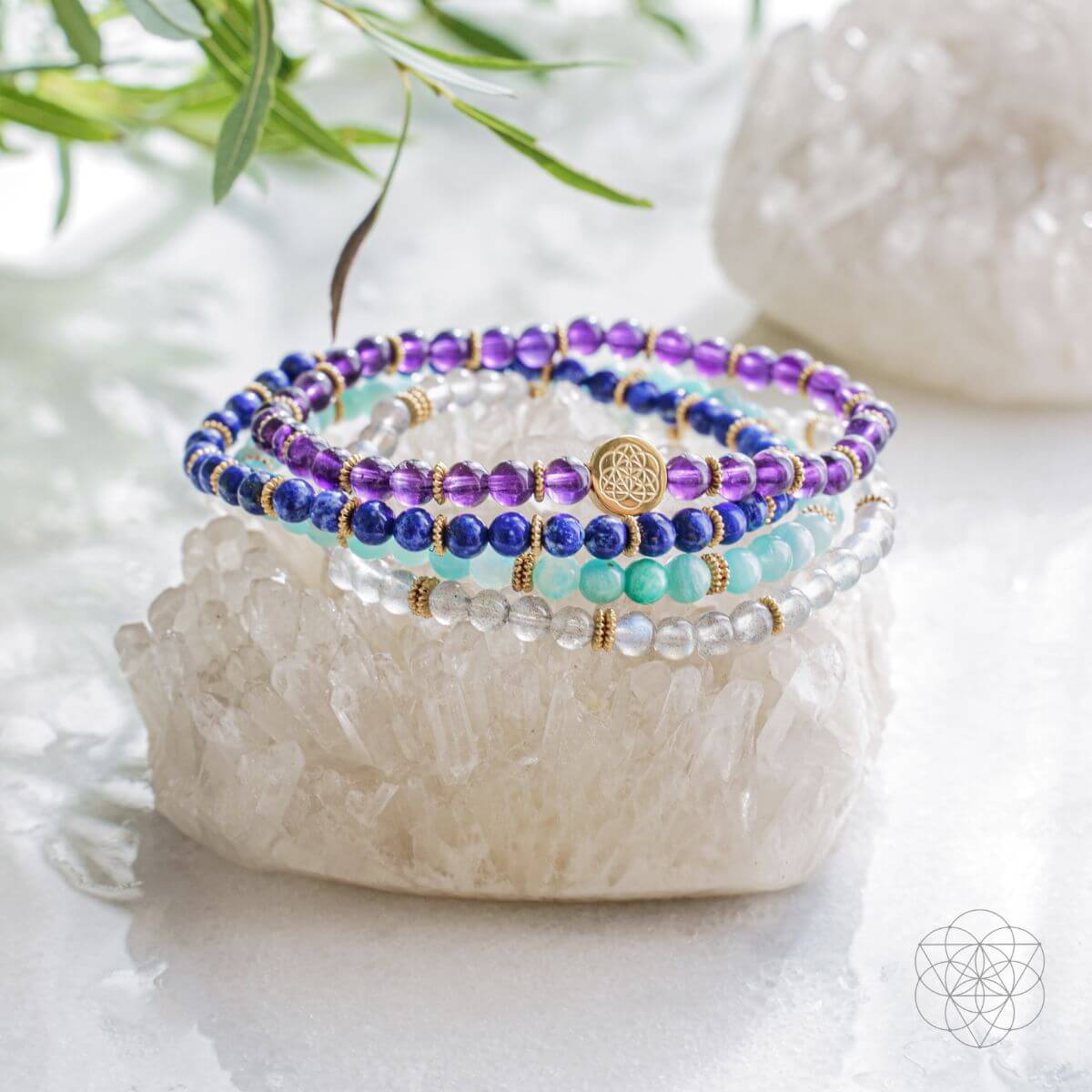 Manifestation Magnet Pack of 4 - The misfit market