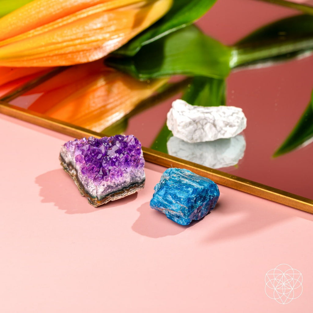 The Anti-Anxiety Trio - The misfit market