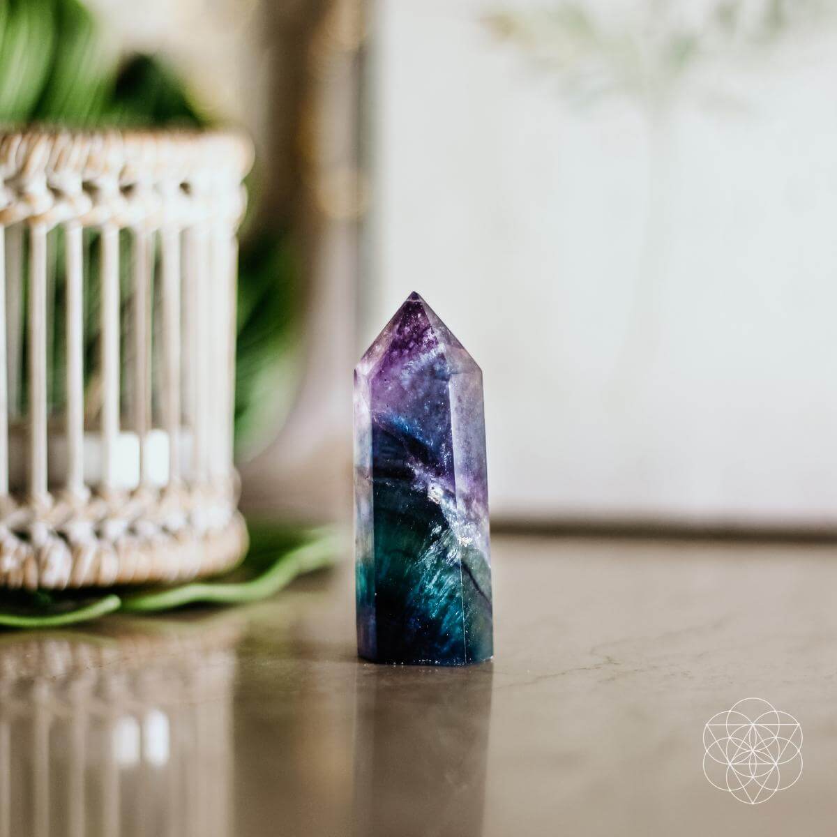 The Cleansing Stone - The misfit market