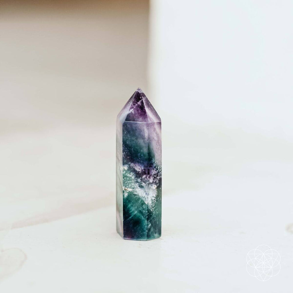 The Cleansing Stone - The misfit market