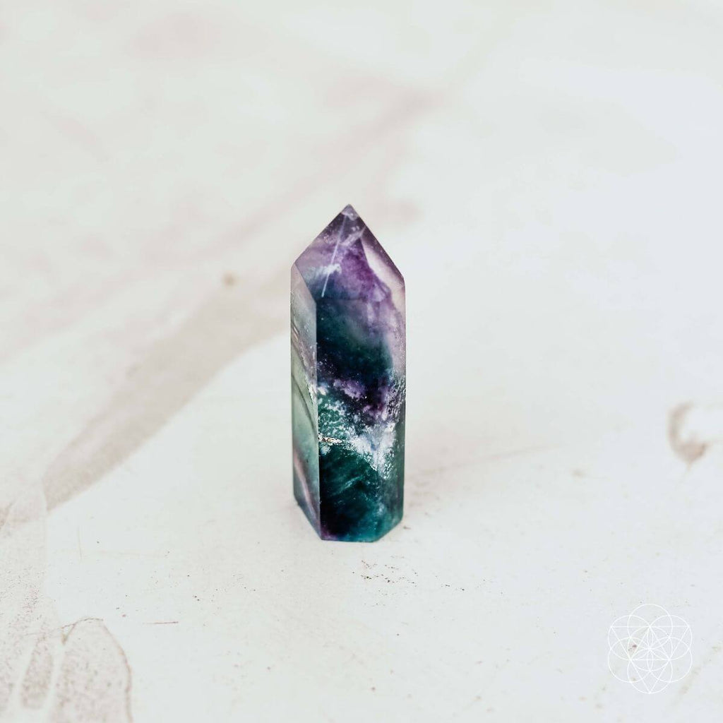The Cleansing Stone - The misfit market