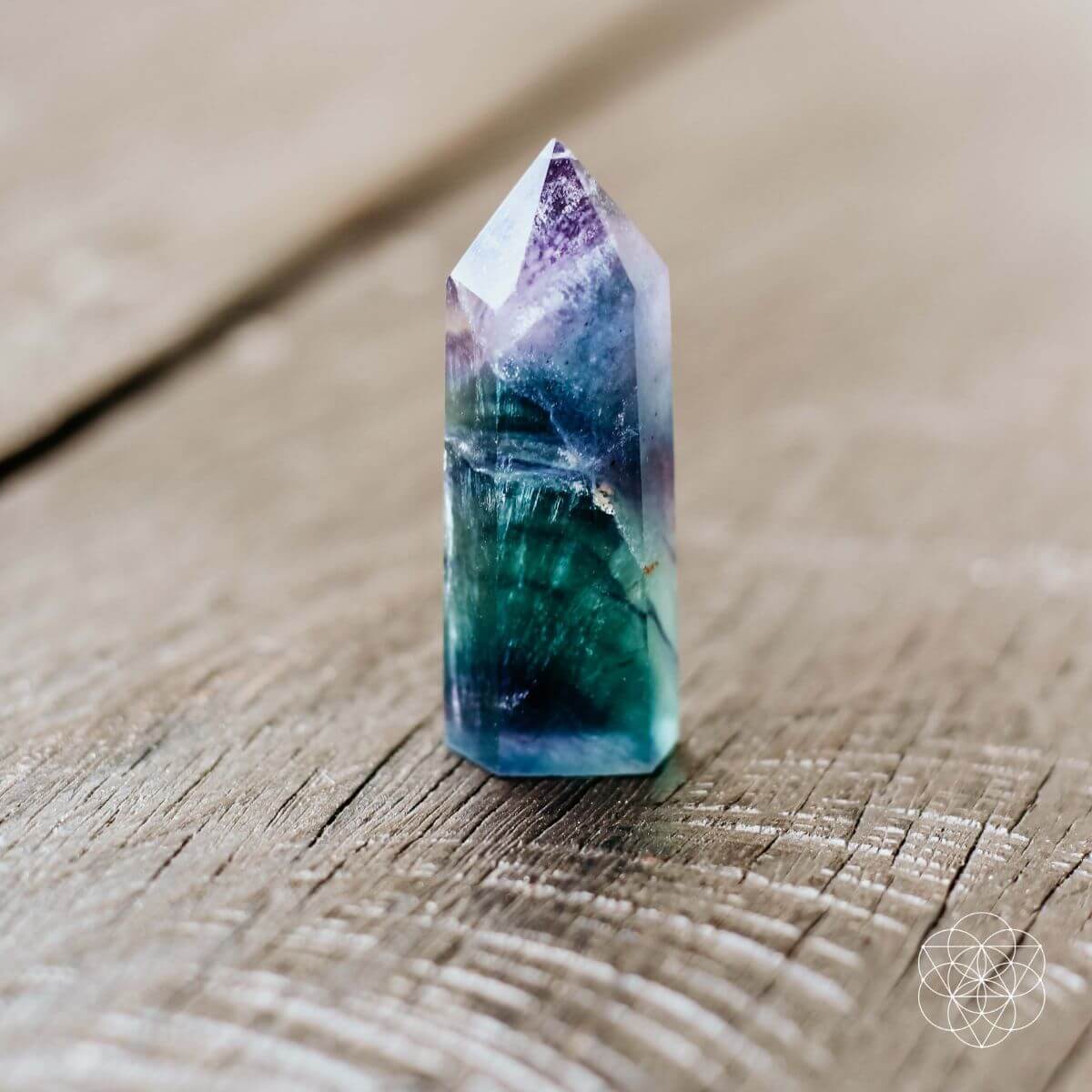 The Cleansing Stone - The misfit market