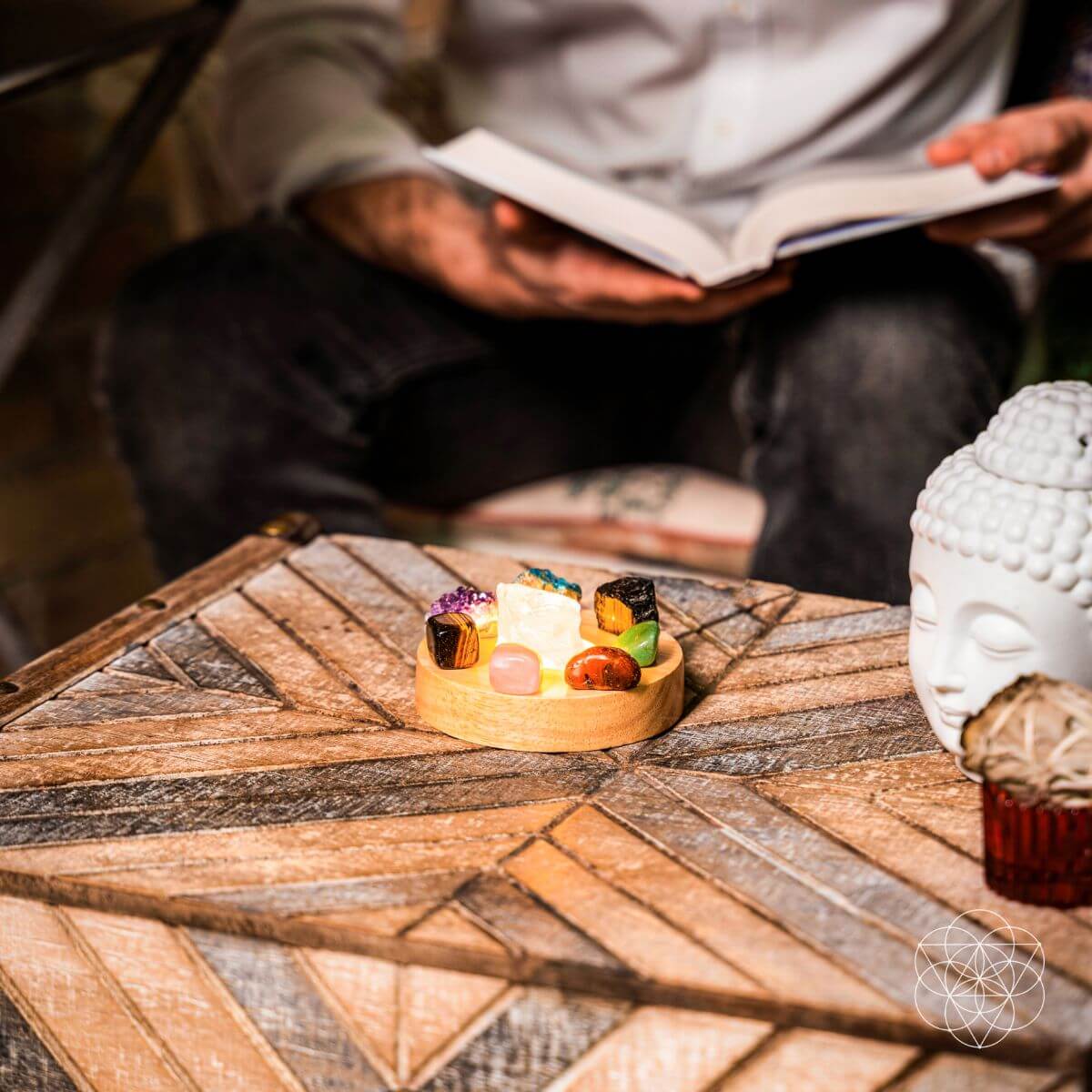 The Natural Energy Lamp - The misfit market