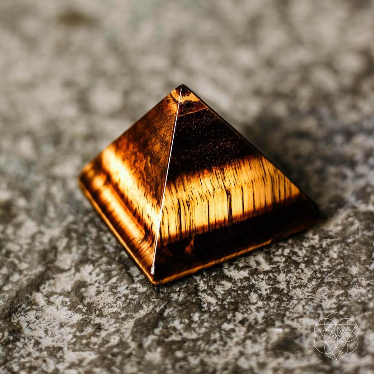 The Pyramid of Focus - The misfit market