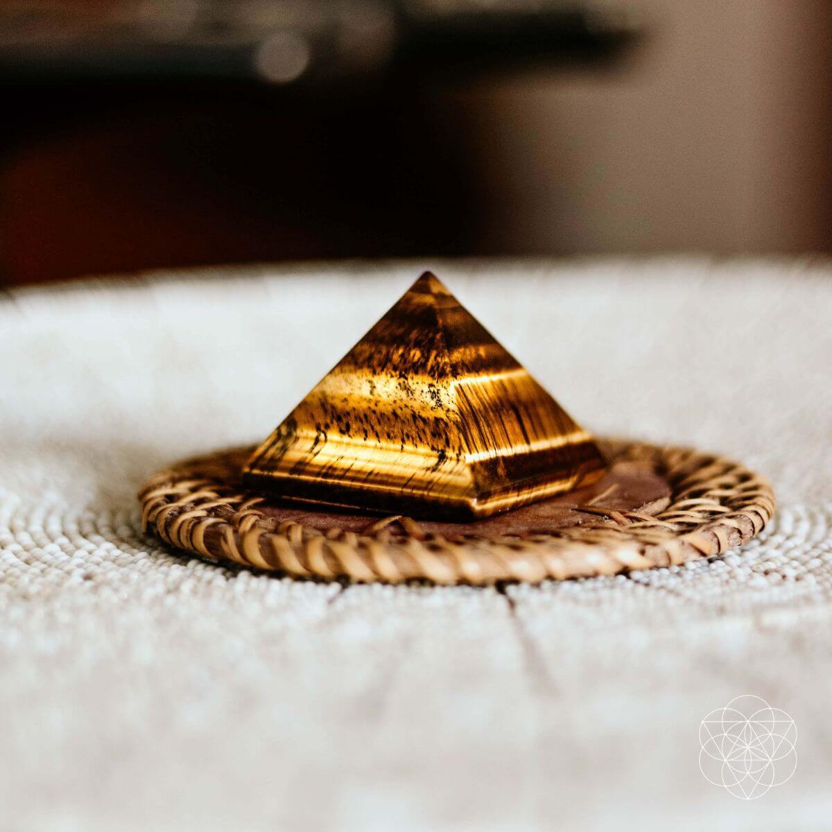 The Pyramid of Focus - The misfit market