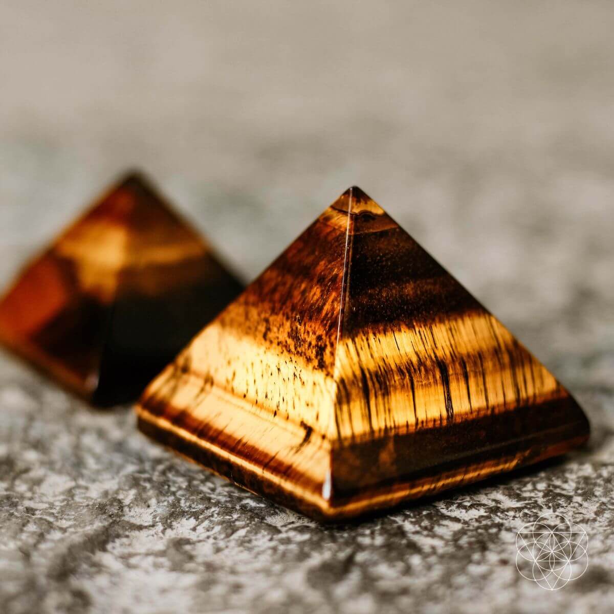 The Pyramid of Focus - The misfit market