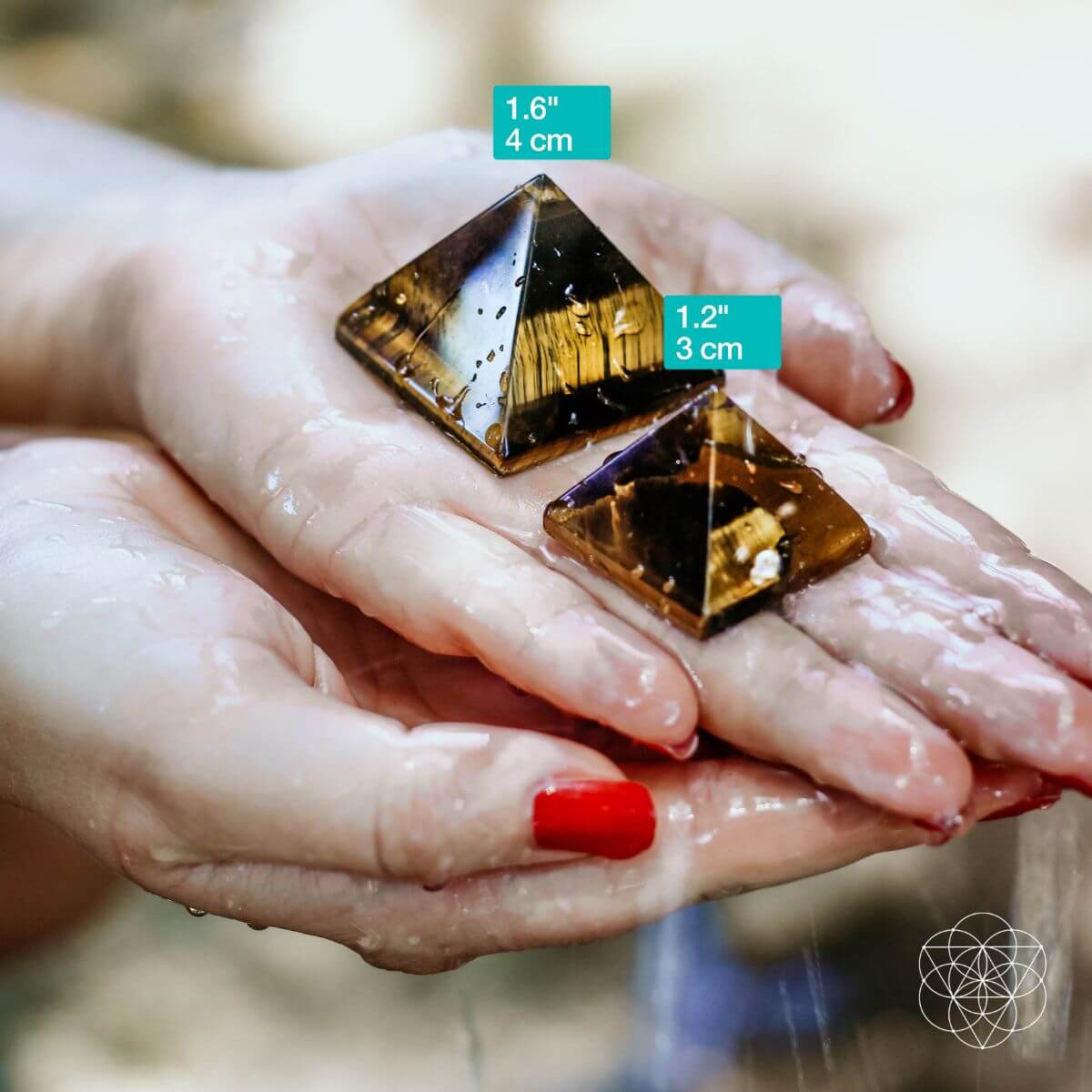 The Pyramid of Focus - The misfit market
