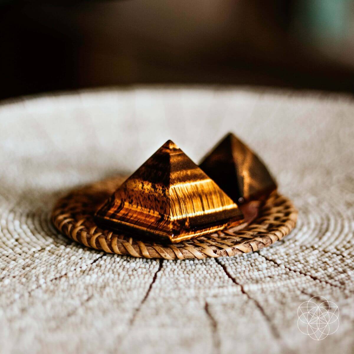 The Pyramid of Focus - The misfit market