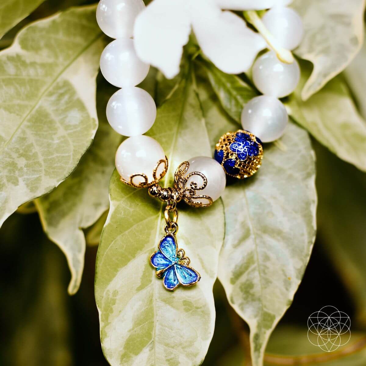 The Spiritual Growth Bracelet - The misfit market