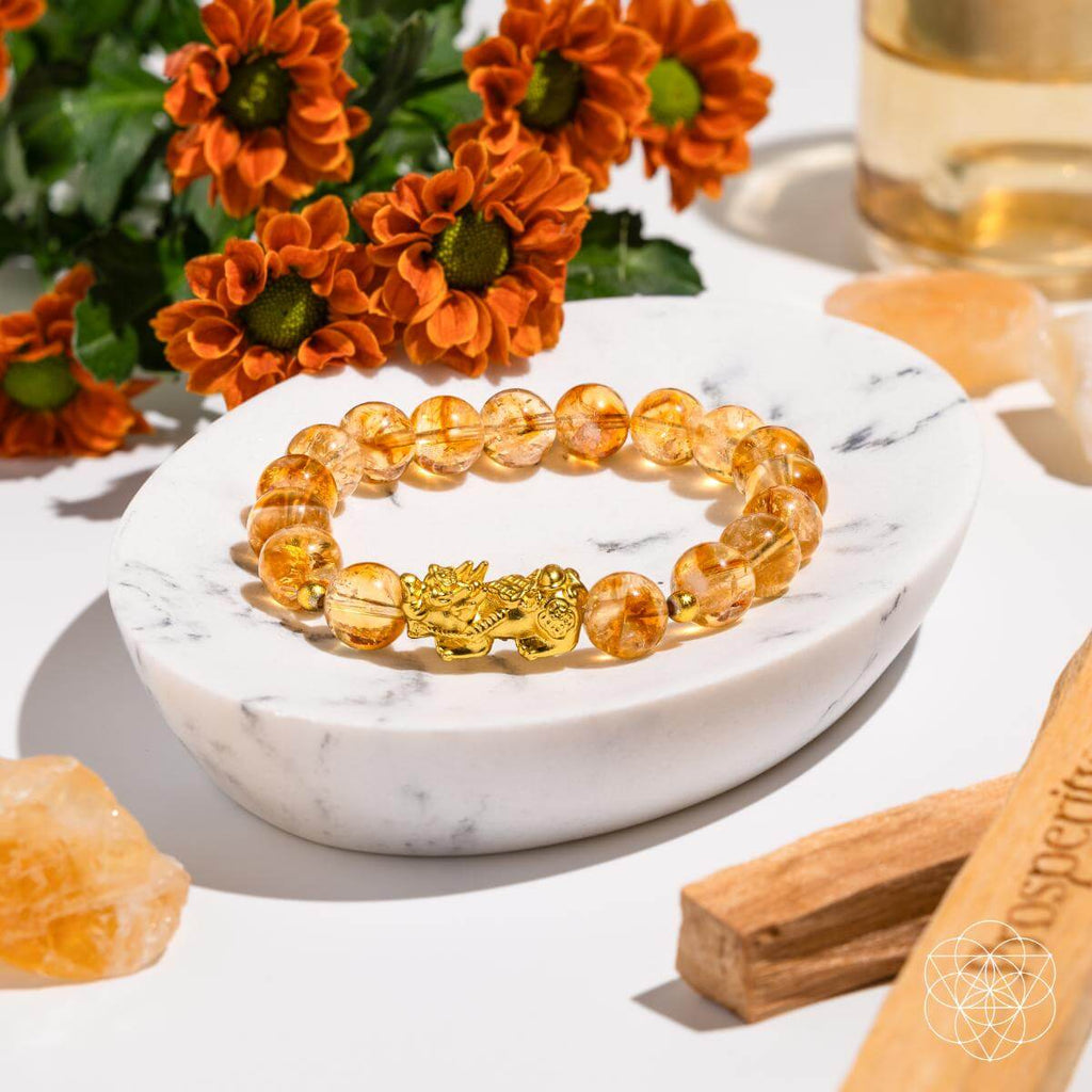 The Ultimate Wealth Bracelet - The misfit market